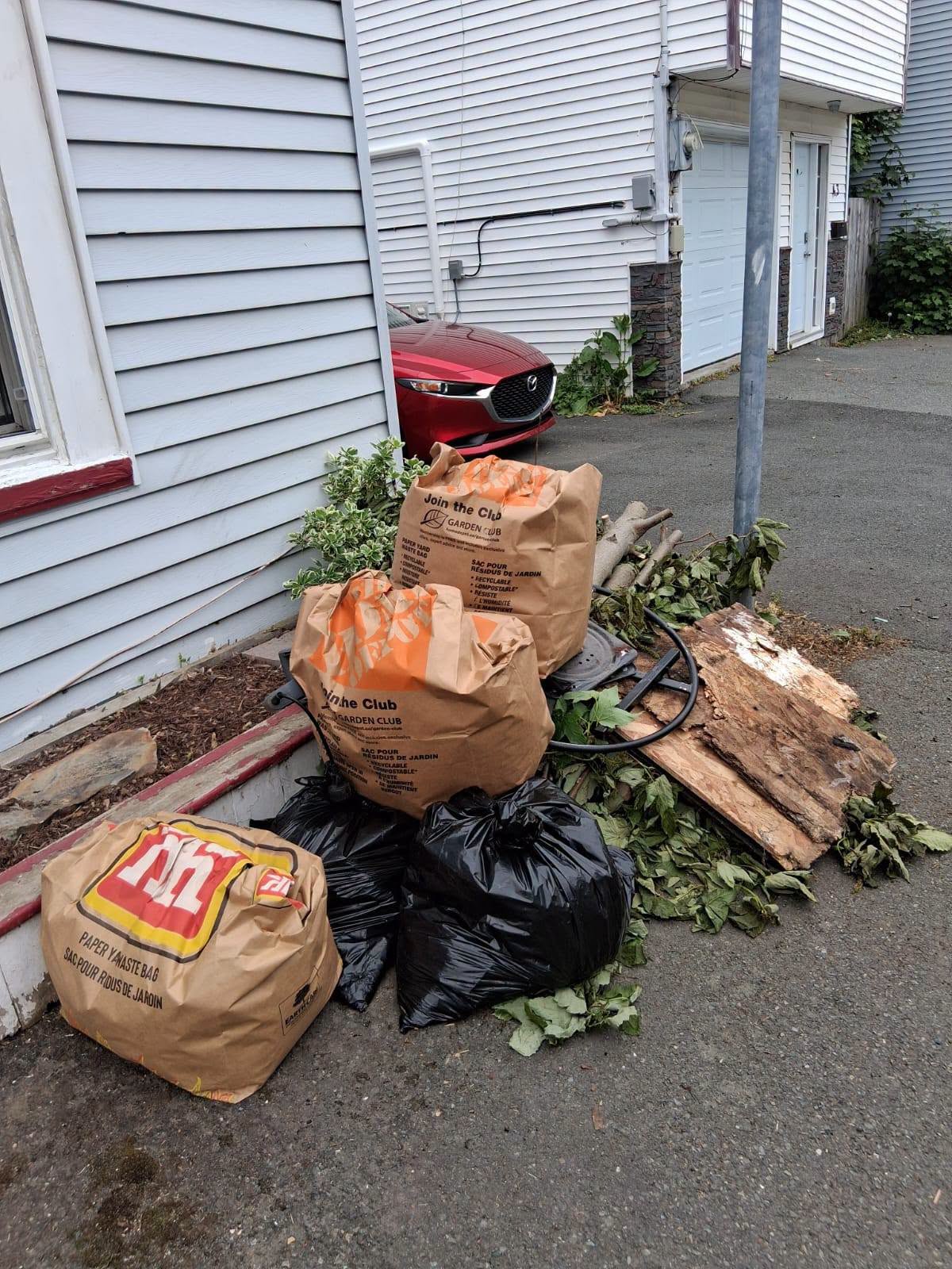 Before: Yard waste removal needed at St. John's NL residence